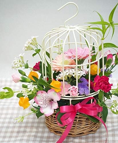 Amazon 花想久里 はなおくり 鳥かご の アレンジ 生花 プレゼント 誕生日 送別 などの フラワーギフト に 可愛くて 優しい 雰囲気 いつもと違った アレンジメント 花想久里 フラワーアレンジメント 通販