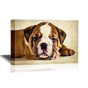 Dogs Breeds Canvas Wall Art - English Bulldog Puppy - Gallery Wrap Pet Art for Modern Home Art | Ready to Hang - 12x18 inches