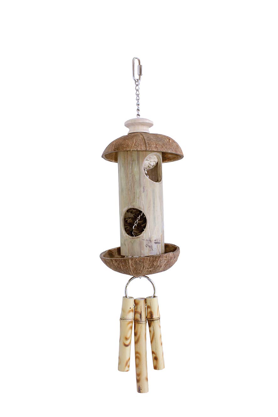 First Nature 100% Natural Pine Cone Surprise Bird Toy Durable Tough Fun Interactive Lightweight Chewing Playing Cage Accessory for Medium to Large Birds