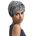Befunny Synthetic Hair Wigs Short Grey Synthetic Full Wig for Women Fashion Style Hair Wig with Elastic Net Breathable Medium Size
