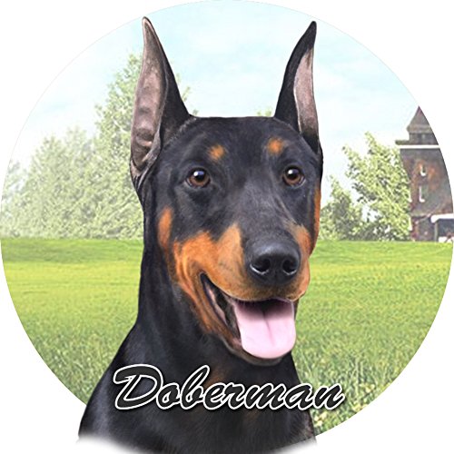 E&S Pets Doberman Coaster, 3