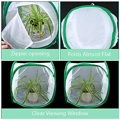 3 Pllieay+Butterfly+Collapsible+Light+transmitting+Activities