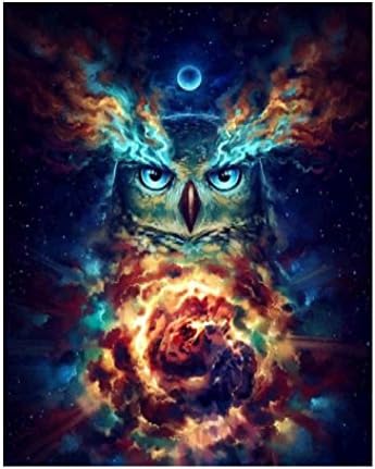 DIY 5D Diamond painting kits full drill, ACTIMEX Rhinestone Crystal Embroidery Pictures Cross Stitch for Home Wall Decoration unique owl (9.8411.8 inch)