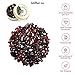 Select Your Stone 50 Carat Mix Gemstone Lot Exclusively by GemMartUSA (GARNET) GT-60001