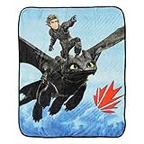 How to Train Your Dragon Silky Soft Throw Blanket