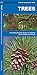 Trees: A Folding Pocket Guide to Familiar North American Species (A Pocket Naturalist Guide)