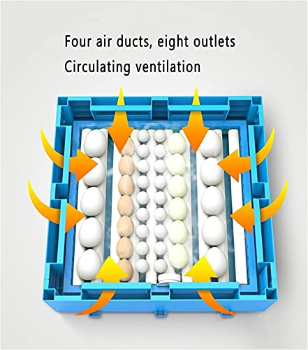 FHISD Eierinkubator und Hatcher, 256 Digitale Eier Inkubator Temperaturregelung Hatcher Automatische Hochleistungs… – Bild 5