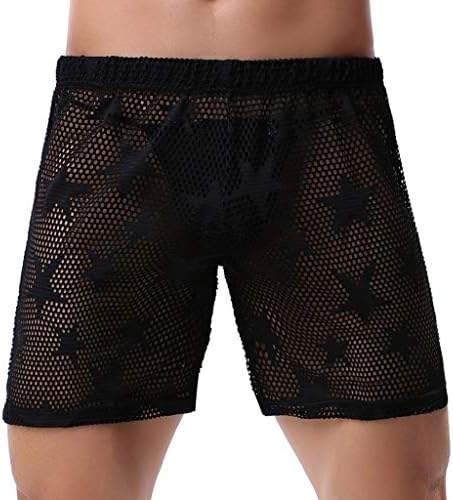 Men's Underwear Mesh Breathable Jacquard Pants Sexy Transparent Underwear Shorts Valentine's Day Boxer Briefs