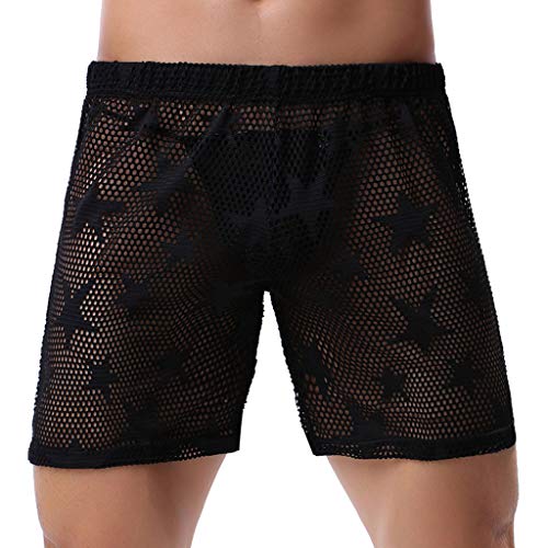 Men's Underwear Mesh Breathable Jacquard Pants Sexy Transparent Underwear Shorts Valentine's Day Boxer Briefs