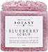 Blueberry Body Scrub 10 oz - For Anti Aging & Exfoliation - Great for Skin Lightening, Acne Scar, Spider Veins, Stretch Marks, Fine Lines & Wrinkles - Great Gifts For Women - Brooklyn Botany primary