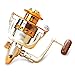 X-CAT Nacatin Spinning Fishing Reel,12 Ball Bearings Light and Smooth,1000 to 7000 Series,Left/Right Interchangeable Spinning Reels Saltwater Freshwater Fishing 5.5:1 (EF Series, 2000)