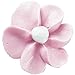Wilton Cake Decorating Basics, DVD