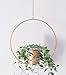 RISEON Boho Gold Metal Plant Hanger,Metal Round Hanging Planter, Modern Planter, Mid Century Plant Holder, Minimalist Planter for Indoor Outdoor Home Decor