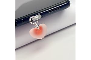 Cute Anti-Dust Plugs Universal DIY Cell Phones Dust Plug Charging Port Protector Suitable for iPhone/Type-C (1PCS)