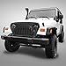 ICARS Black Front Matte Front Gladiator Grille Cover Vader Grill w/Mesh Inserts for 1997-2006 Jeep Wrangler TJ & Unlimited