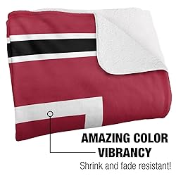 Temple University Owls Primary Logo Stripes Sherpa