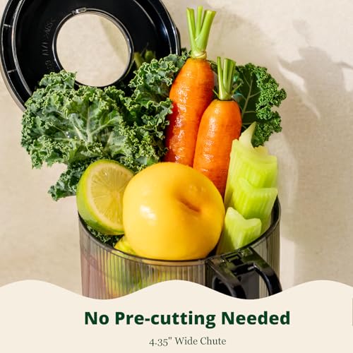 LINKChef Cold Press Juicer, 200W Masticating Slow Juicer 4.53" Large Feed Chute Fit Whole Fruits Vegetables with Juice Recipes, High Juice Yield, Easy to Clean, BPA-Free