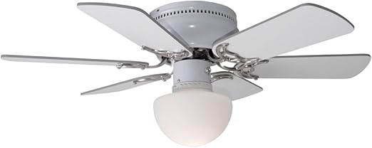 Cover Fan Room Cooler Fan Lighting Glass Lamp Cord Switch Globo