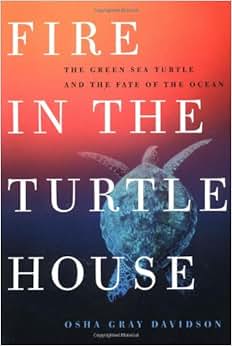 Fire In The Turtle House The Green Sea Turtle And The