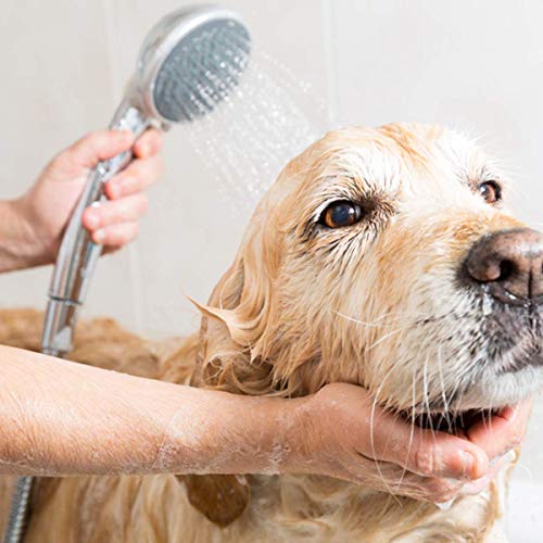 6 HOMEIDEAS+Stainless+Showerhead+Extension+Replacement