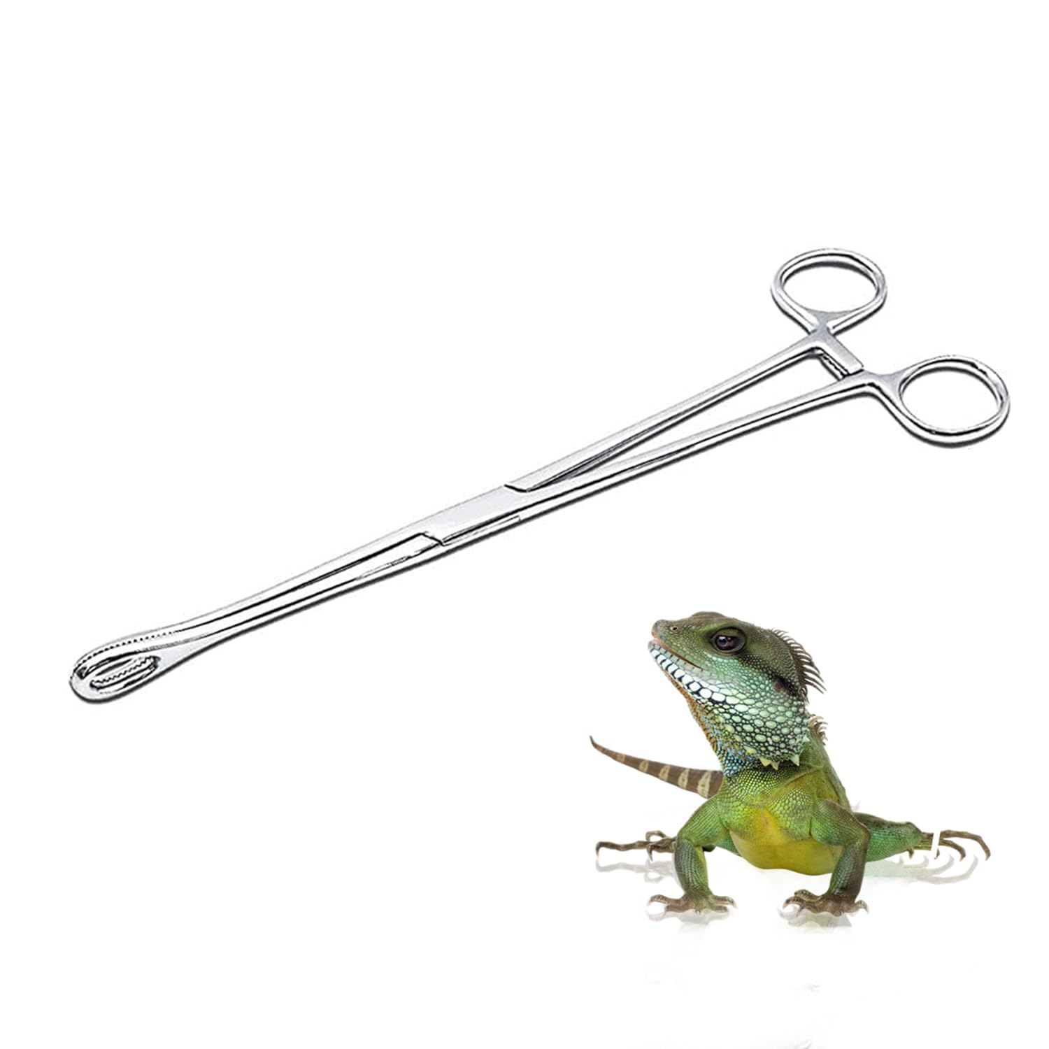 JNAWA Reptile Feeding Clip Pet Raising Feeding Tool Reptile Terrarium Stainless Steel Tongs Tweezers for Snake Lizard Reptile Animal