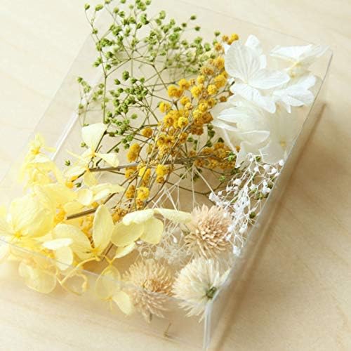 カドゥ 送料無料激安祭 Flower Gift プチサイズ イエローベース ドライフラワー詰め合わせ