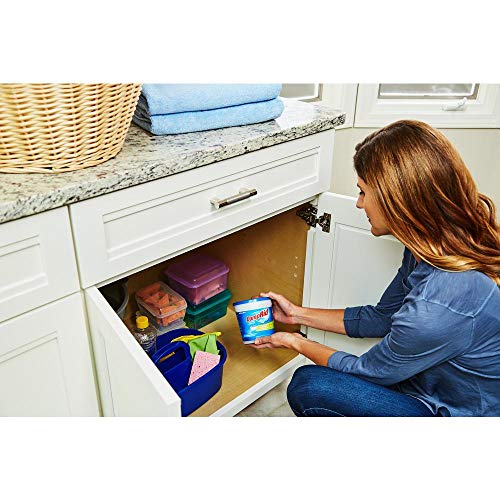 Damp Rid Moisture Absorber DampRid EasyFill System Fragnance Free