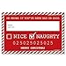 Big Dot of Happiness Santa's Naughty List Mug Shots - Christmas Party Photo Booth Props Party Mugshot Signs - 20 Count