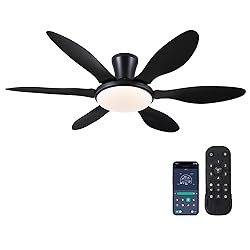Ceiling Fans with Lights, 51 inch Modern Black Low