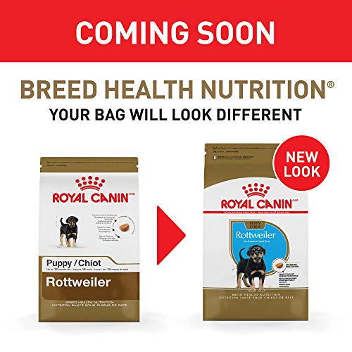 Royal Canin Rottweiler Puppy Breed Specific Dry Dog Food, 30 lb bag