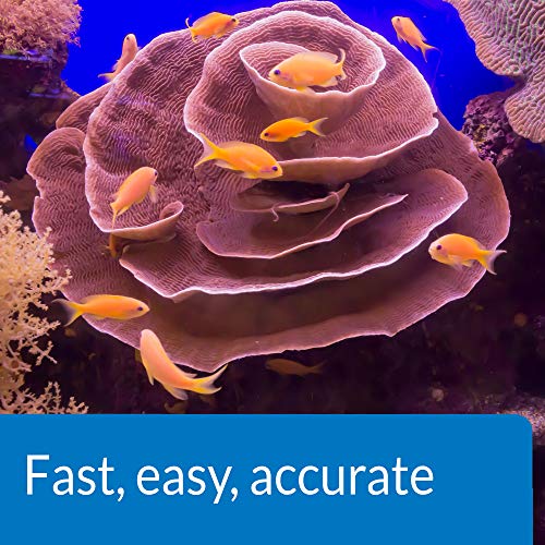 5 API+SALTWATER+550+Test+Saltwater+Aquarium