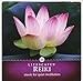 Reiki - Music for Quiet Meditation