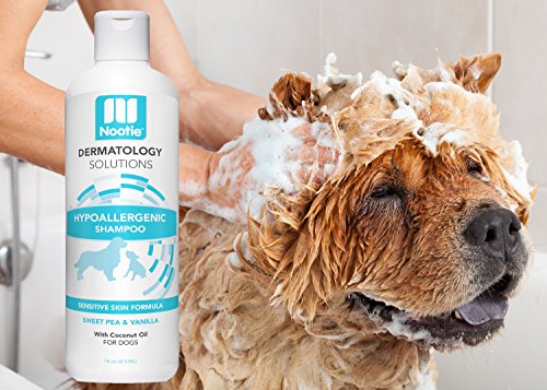 Nootie Hypoallergenic Shampoo for Dogs -Hypoallergenic Dog Shampoo Plus Conditioner For Pets With Allergies And Sensitive Itchy Dry Skin 16oz - Thumbnail 5