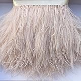 Sowder 5 Yards Champagne Ostrich Feather Trim Fringe on Satin Header 4-6inch in Width for Wedding Sewing Crafts Costumes Decoration