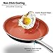 Hommate 9 Inch Nonstick Frying Pan ,Omelette Pan, Healthy Non Toxic,Oven Safe
