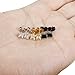 FIBO STEEL 3 Pairs Stainless Steel Studs Earrings for Men Women Cubic Zirconia Inlaid,4mm Available