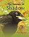 The Summer of Shadow by Pat Payne