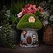 TERESA'S COLLECTIONS Fairy Garden House, Outdoor Garden Figurines with Solar Lights, Flocked Mushroom Statue for Home or Yard Decor (8 Inch Tall)