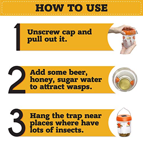 BEE COLINE Wasp Trap Outdoor Solar Powered Wasp Killer Effective