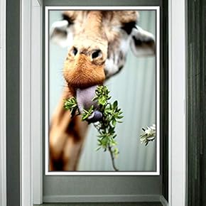 signwin Framed Canvas Wall Art Giraffe Animals Expressive...