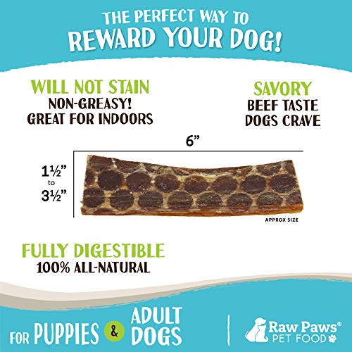 Raw Paws Pet Premium 6inch Beef Esophagus Dog Treats, 8ounce Made
