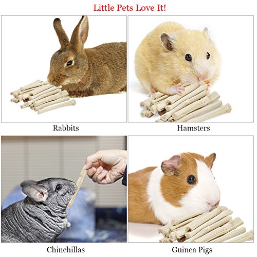 SunGrow Sweet Bamboo Chew Sticks for Rabbits, 100g (3.5 oz) Bunny Molar