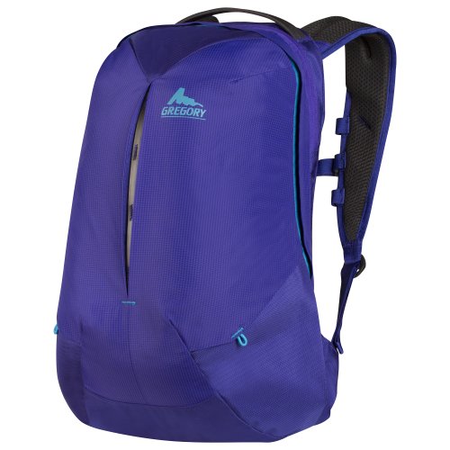 gregory purple backpack