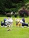 DomeStar Cute Dog Bank, Shiba Inu Coin Bank Kids Toy Bank Doggy Puppy Piggy Bank for Girls Boys