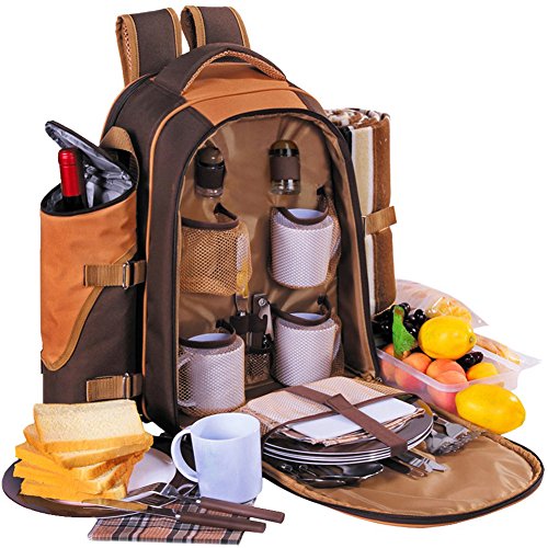 apollo walker picnic backpack