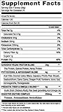 Gardenia All-Natural Plant Based Protein - Chocolate Cacao - Sample (38g)