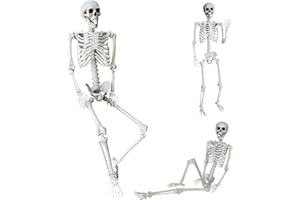 5.4Ft/165cm Halloween Life Size Skeleton Full Body with Movable Joints for Halloween Party Prop Scary Graveyard Haunted House
