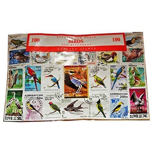 Worldwide Bird Birds Stamp Collection Souvenir! Ornithology / Owls / Parrots 100 Stamps - All Different! Souvenir / Speicher / Memoria! Highly Collectible Stamps! Collectible Stamps from Around the World! Timbre / Stempel / Francobollo / Sello!