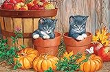 Little Pumpkins 60 Piece Sequenced Jigsaw Puzzle for Dementia and Alzheimer's