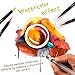 Watercolor Brush Pens by GoArtPro | Set of 20 Color Soft Flexible Real Brush Pens + Bonus Watercolor Pen | Brush Tip Markers for Adult Coloring Books, Manga, Comic, Calligraphy